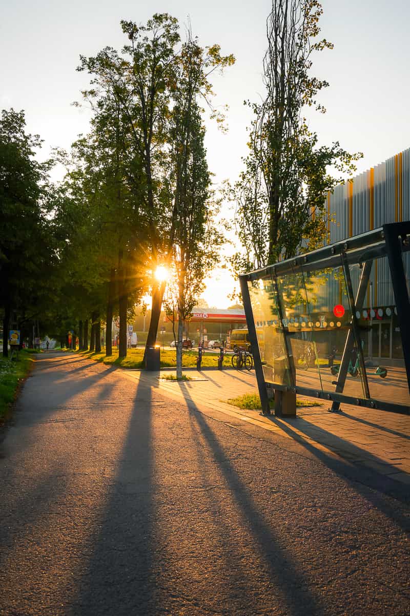 Morning rays
