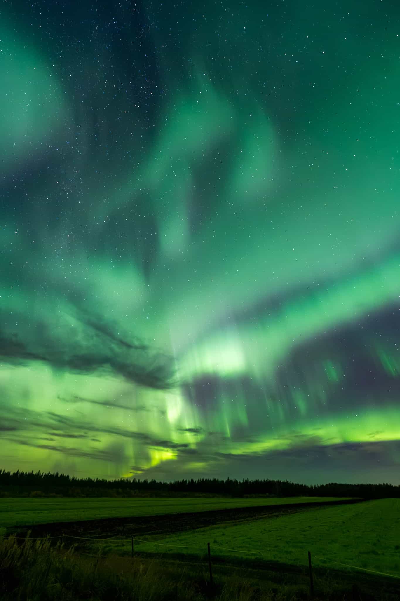 Northern lights